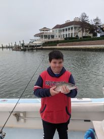 Virginia Beach Report Photo 2