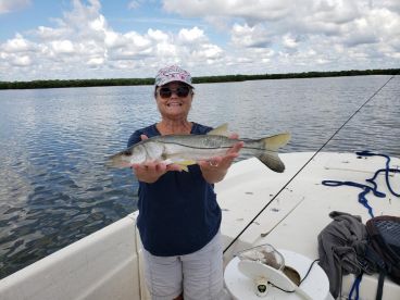 Flagler County Report Photo 3