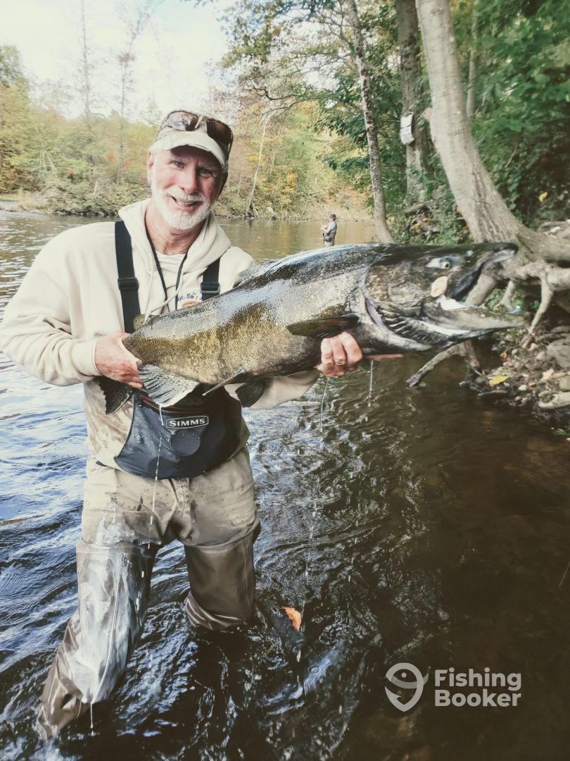 King Salmon