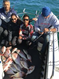 Australia Report Photo 1