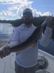 Florida Report Photo 2