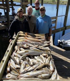 Mississippi River Report Photo 2