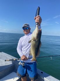 Crystal River Report Photo 1