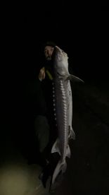 Northern California Report Photo 2