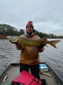Fall Muskie