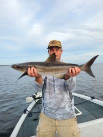 Cape Coral Report Photo 2