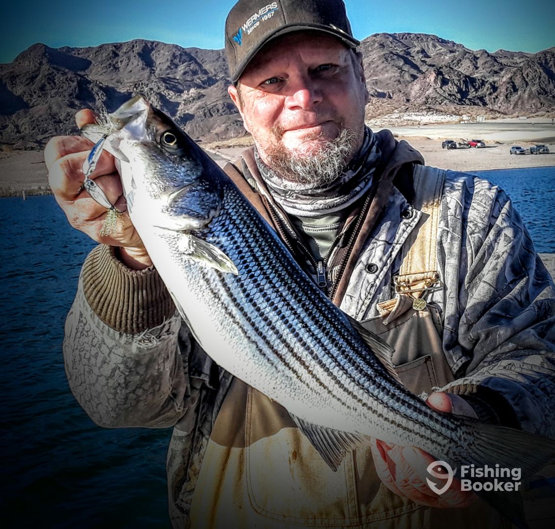 Boulder City Report Photo 0
