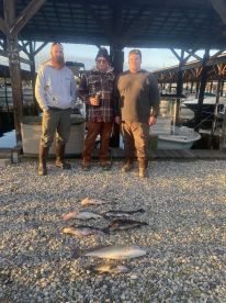 Poquoson Report Photo 1