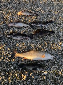 Poquoson Report Photo 2