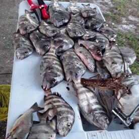 New Smyrna Beach Report Photo 1