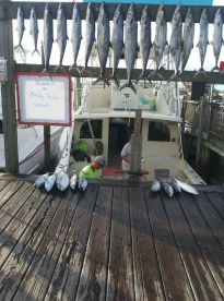 November fishing