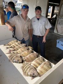 Best eating Fish are back!