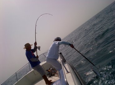 Dubai Report Photo 2