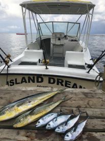 West End Report Photo 2