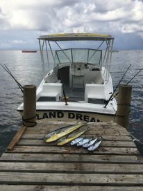 West End Report Photo 1