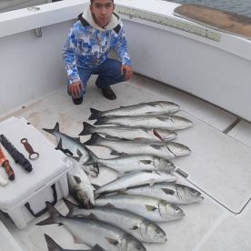 Good fishing today!