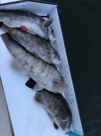 Connecticut Report Photo 1