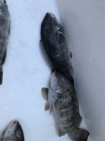 Connecticut Report Photo 2