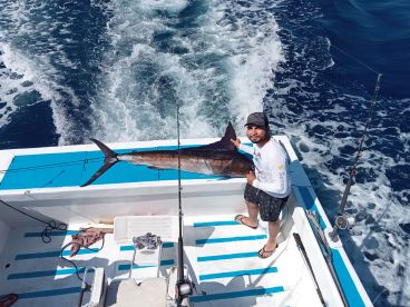 Manzanillo Report Photo 1