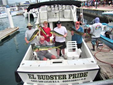 Cabo San Lucas Report Photo 2