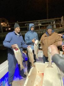 Tautog and blackfish