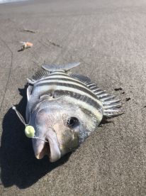 Cocoa Beach Report Photo 2