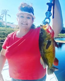 Delray Beach Report Photo 1