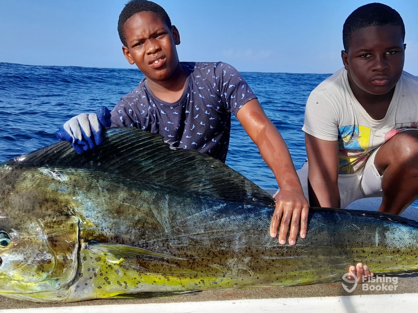 Trinidad and Tobago Report Photo 0