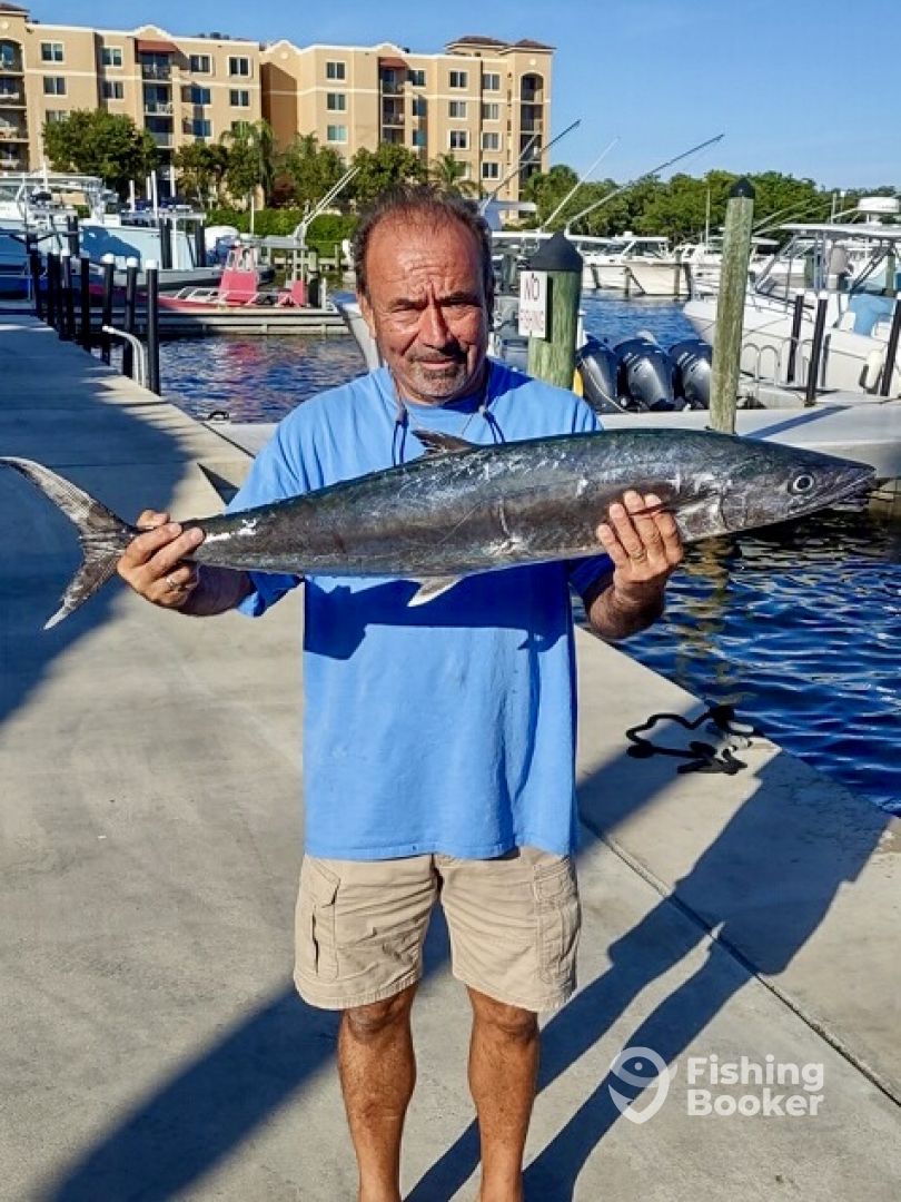 Kingfish