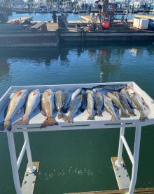 Beaufort Report Photo 2