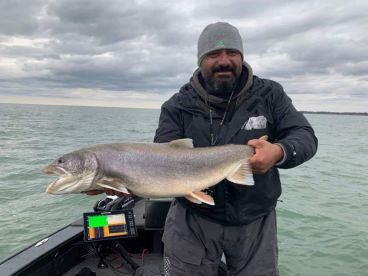 Trout in December