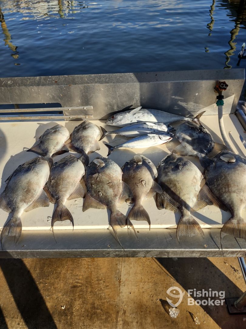 Hypoluxo Report Photo 0
