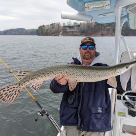 Georgia Report Photo 2