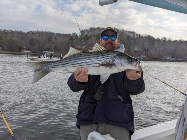 Georgia Report Photo 1