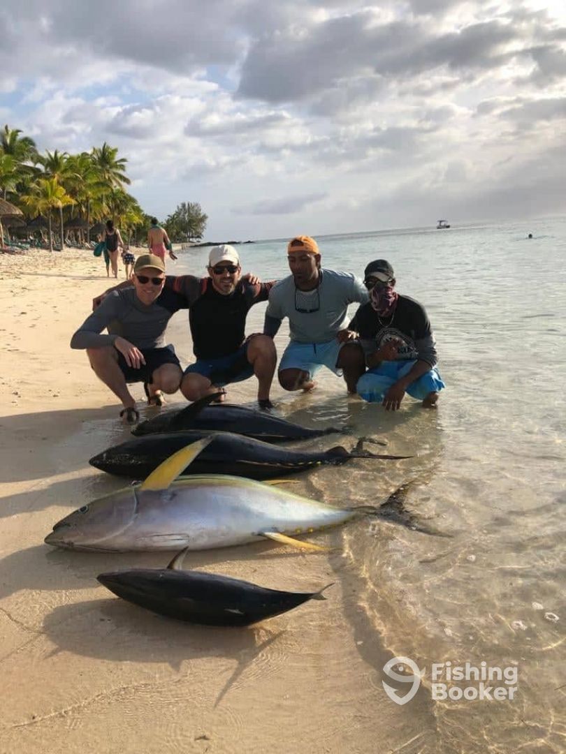 3 nice tuna on troling