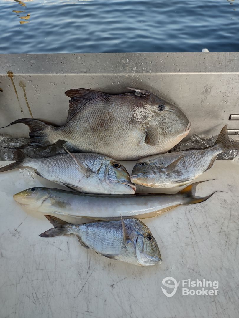 Hypoluxo Report Photo 0