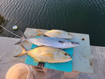 Backcountry Winter Fishing is Heating Up