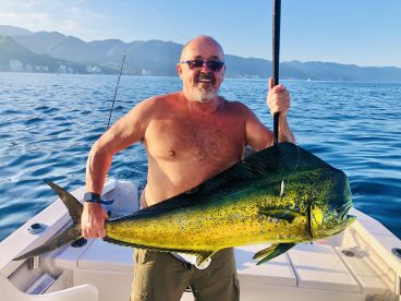 Puerto Vallarta Report Photo 2