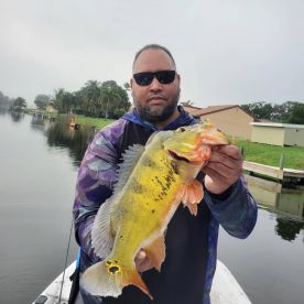 Delray Beach Report Photo 2