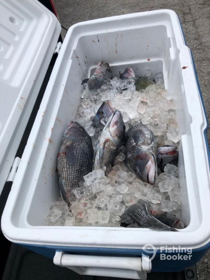 Fernandina Beach Report Photo 0