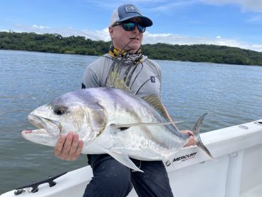 Crazy Roosterfish action