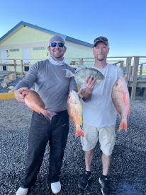 Port Orange Report Photo 1