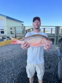 Port Orange Report Photo 2