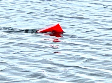 Muskegon Report Photo 2