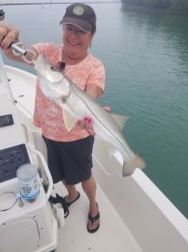 Lemon Bay Report Photo 3