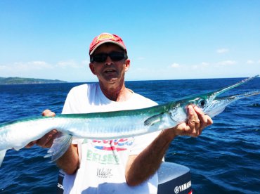 Needle fish Panama
