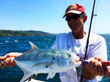 Jack Crevalle Panama