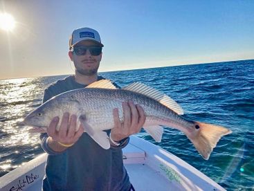 Siesta Key Report Photo 1