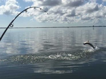 Titusville Report Photo 1