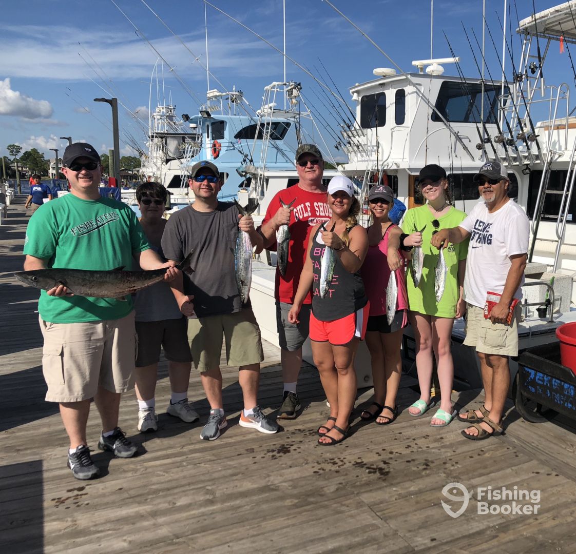Orange Beach Report Photo 0